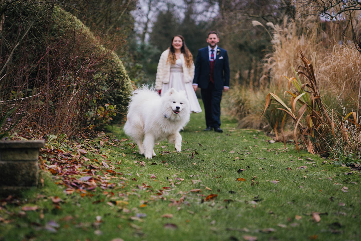 a white fluffy dog runs at the camera. the newly weds follow in the background, holding hands