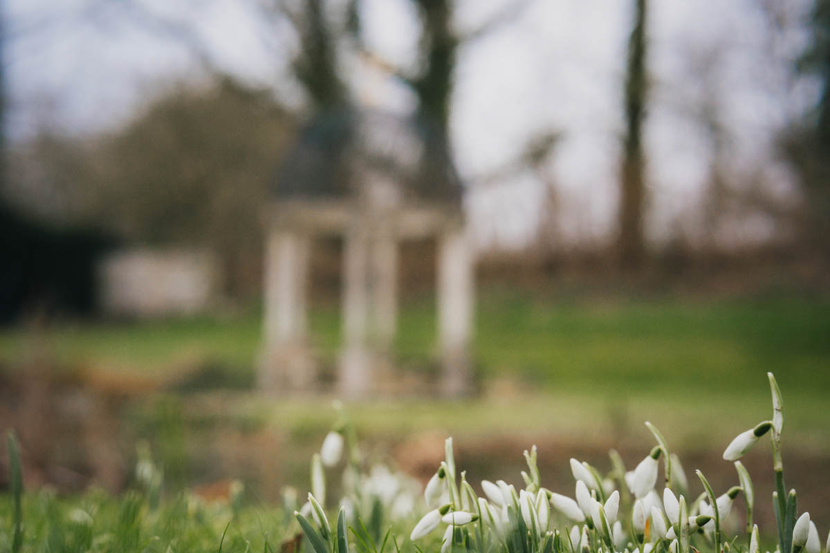 snowdrops in front of the gardens at spring head