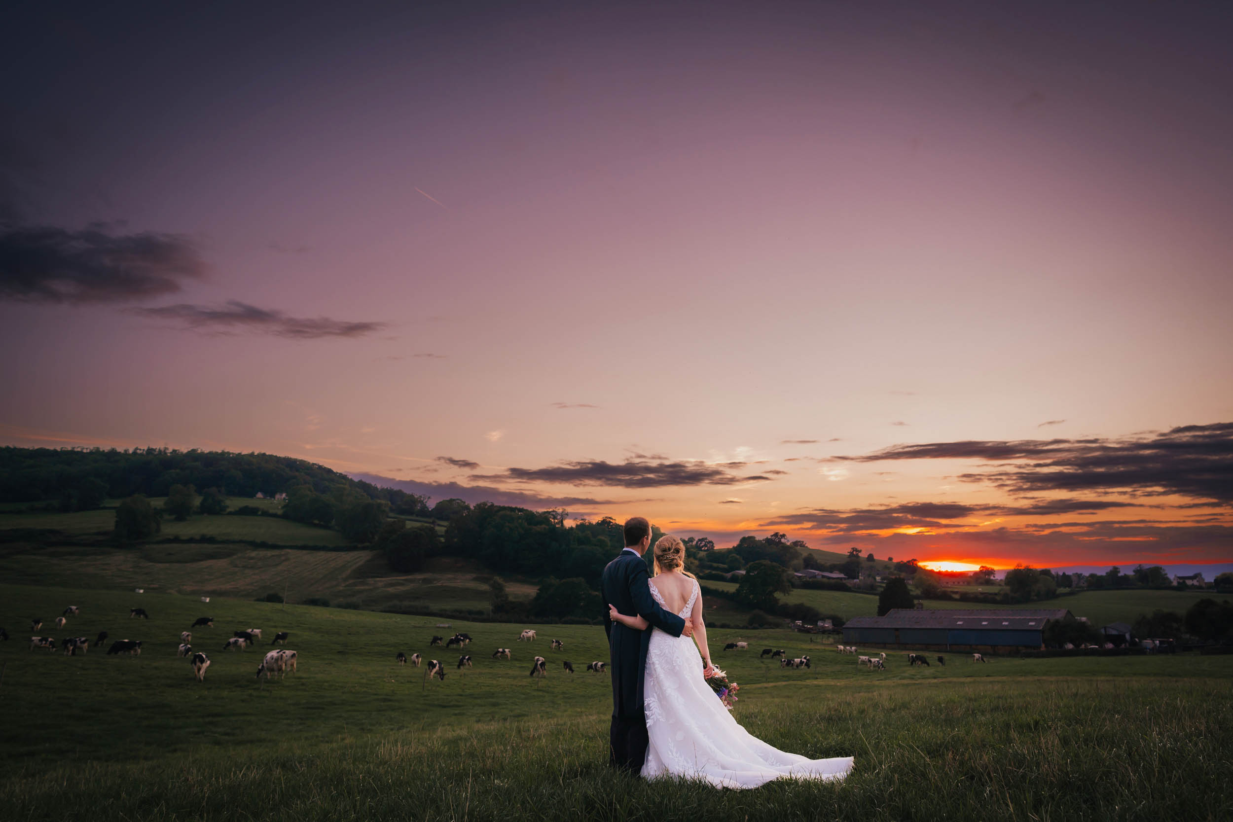 a groom hugs his new wife in the Somerset landscape as the sun sets, there are cows in the fields behind