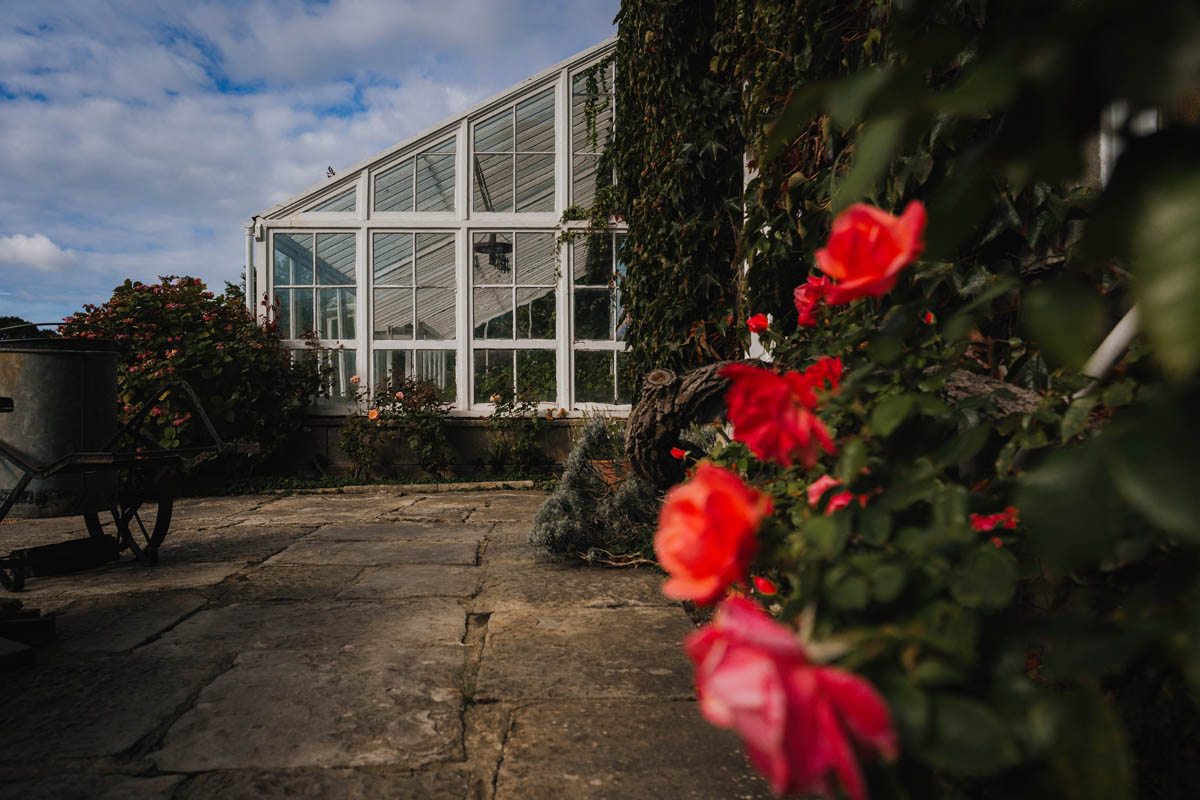 the glasshouse at petard house with pink roses out of focus in the foreground