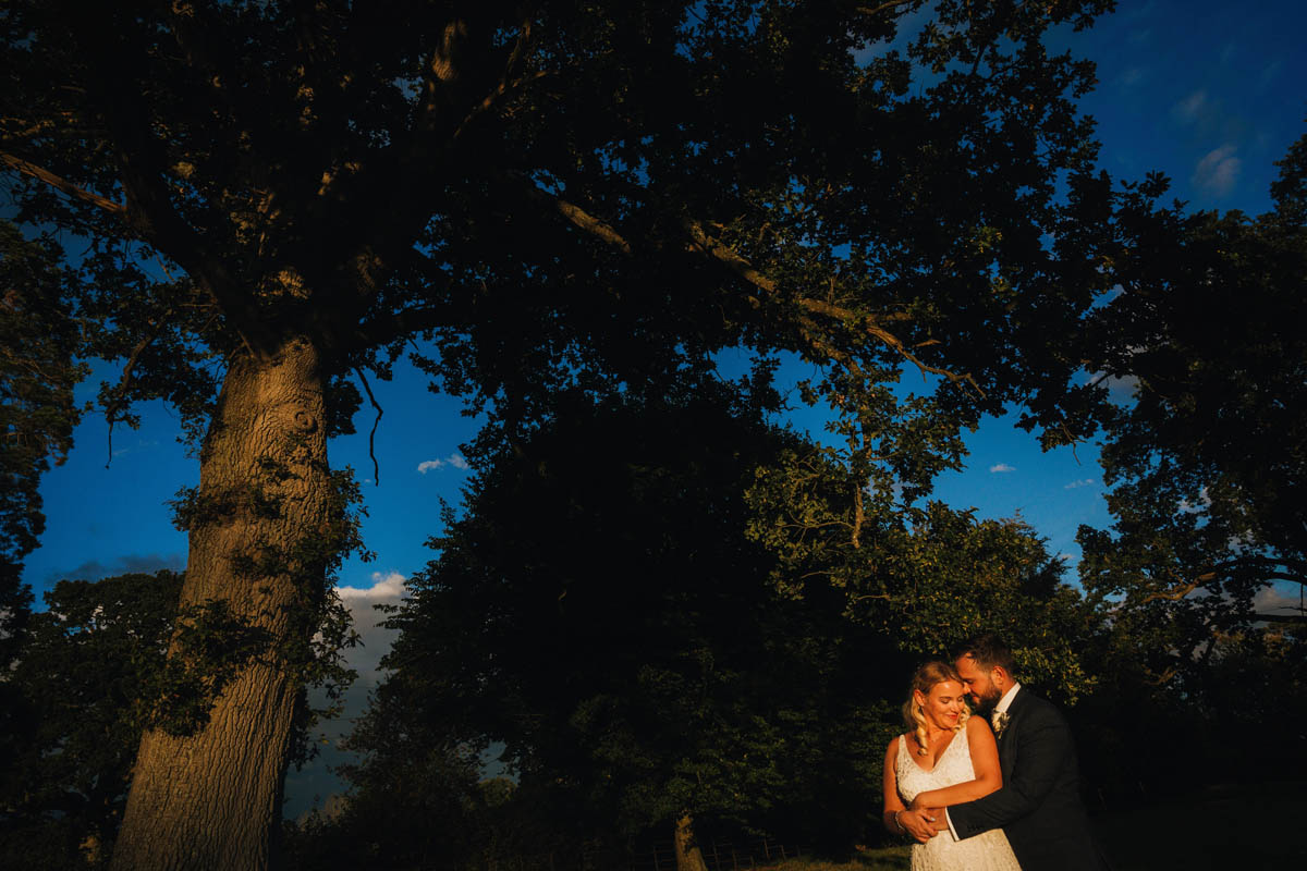 a large tree and blue sky frame a bride and groom hit by golden hour light against a dark background