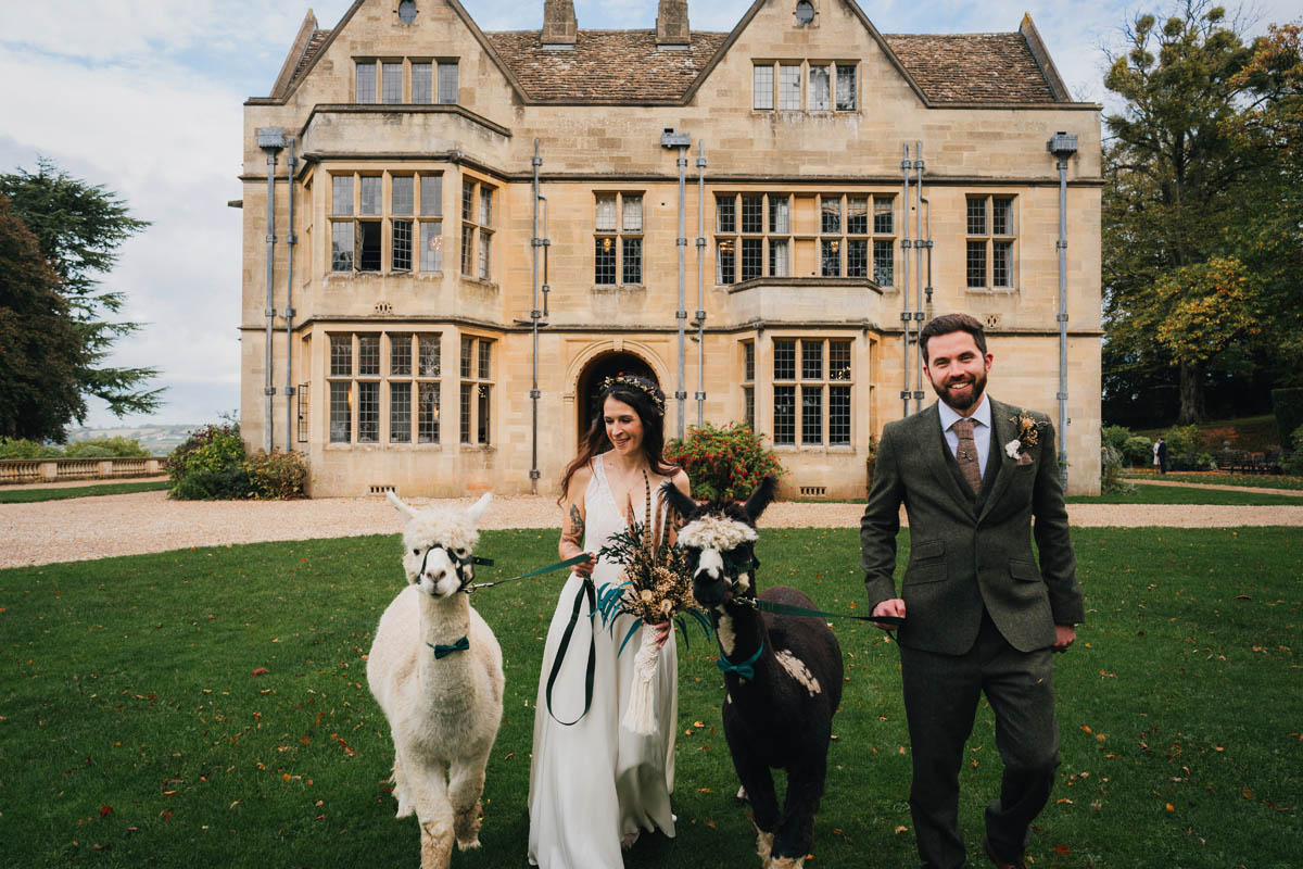 the bride and groom walking a white and black alpaca outside Coombe Lodge wedding venue